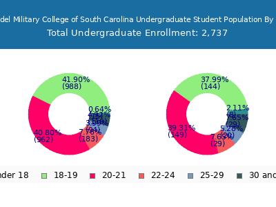 Citadel Military College of South Carolina 2025 Undergraduate Enrollment Age Diversity Pie chart