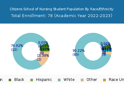 Citizens School of Nursing 2023 Student Population by Gender and Race chart
