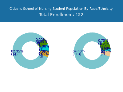 Citizens School of Nursing 2025 Student Population by Gender and Race chart