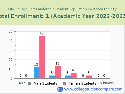 City College-Fort Lauderdale 2023 Student Population by Gender and Race chart
