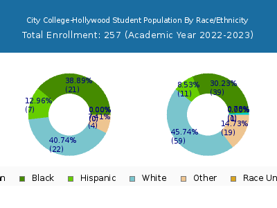 City College-Hollywood 2023 Student Population by Gender and Race chart
