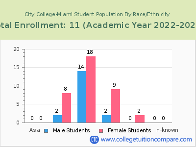 City College-Miami 2023 Student Population by Gender and Race chart