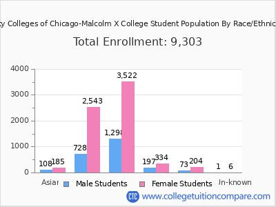 City Colleges of Chicago-Malcolm X College 2025 Student Population by Gender and Race chart