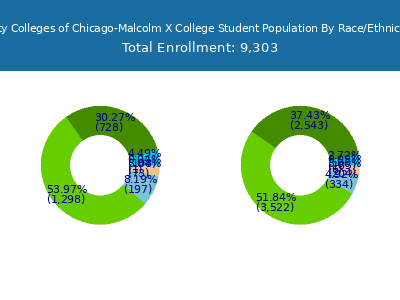 City Colleges of Chicago-Malcolm X College 2025 Student Population by Gender and Race chart