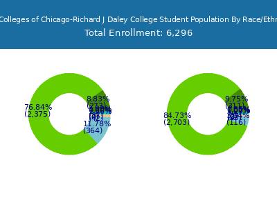 City Colleges of Chicago-Richard J Daley College 2025 Student Population by Gender and Race chart