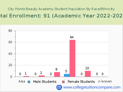 City Pointe Beauty Academy 2023 Student Population by Gender and Race chart