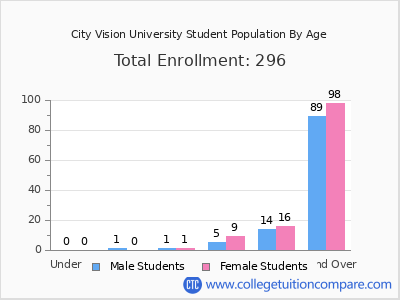 City Vision University 2024 Student Population by Age chart