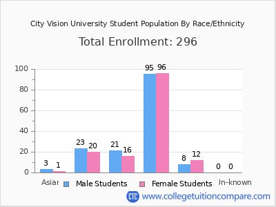 City Vision University 2025 Student Population by Gender and Race chart