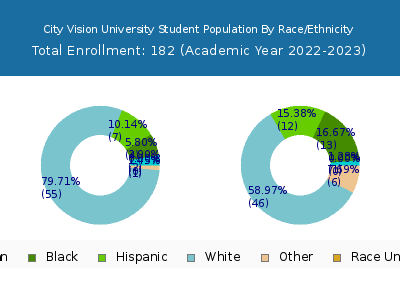 City Vision University 2023 Student Population by Gender and Race chart