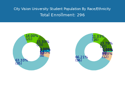 City Vision University 2025 Student Population by Gender and Race chart