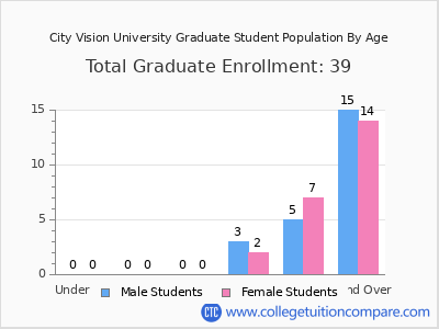 City Vision University 2024 Graduate Enrollment by Age chart