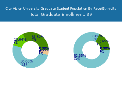 City Vision University 2025 Graduate Enrollment by Gender and Race chart