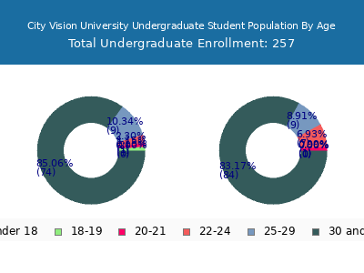 City Vision University 2024 Undergraduate Enrollment Age Diversity Pie chart