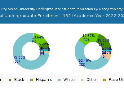 City Vision University 2023 Undergraduate Enrollment by Gender and Race chart