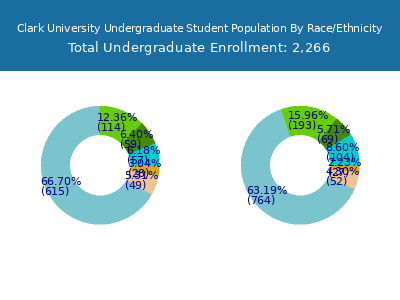 Clark University 2025 Undergraduate Enrollment by Gender and Race chart