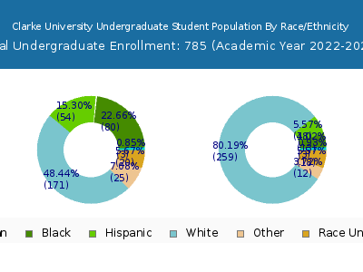 Clarke University 2023 Undergraduate Enrollment by Gender and Race chart