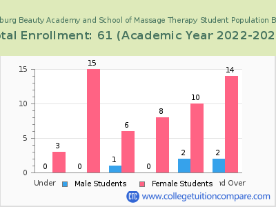 Clarksburg Beauty Academy and School of Massage Therapy 2023 Student Population by Age chart