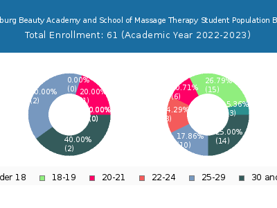 Clarksburg Beauty Academy and School of Massage Therapy 2023 Student Population Age Diversity Pie chart