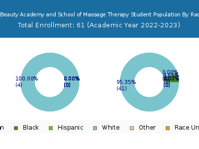 Clarksburg Beauty Academy and School of Massage Therapy 2023 Student Population by Gender and Race chart