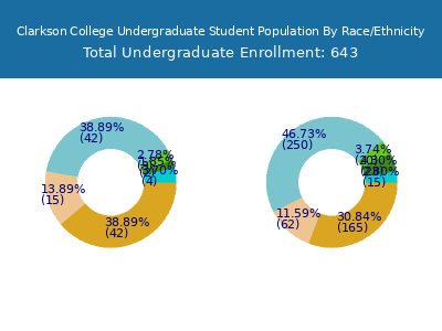 Clarkson College 2025 Undergraduate Enrollment by Gender and Race chart