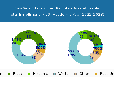 Clary Sage College 2023 Student Population by Gender and Race chart