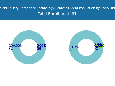 Clearfield County Career and Technology Center 2025 Student Population by Gender and Race chart