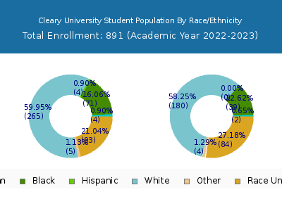 Cleary University 2023 Student Population by Gender and Race chart