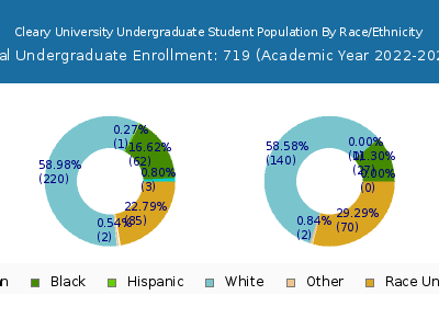 Cleary University 2023 Undergraduate Enrollment by Gender and Race chart