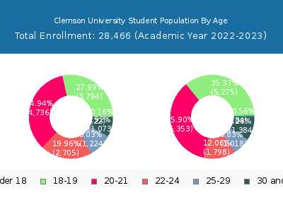Clemson University 2023 Student Population Age Diversity Pie chart