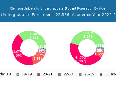 Clemson University 2023 Undergraduate Enrollment Age Diversity Pie chart