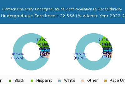 Clemson University 2023 Undergraduate Enrollment by Gender and Race chart