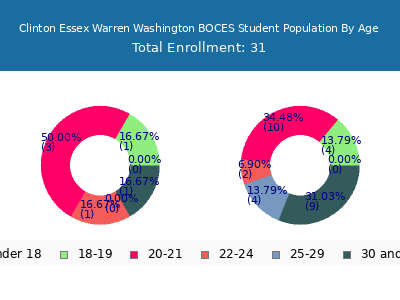 Clinton Essex Warren Washington BOCES 2024 Student Population Age Diversity Pie chart