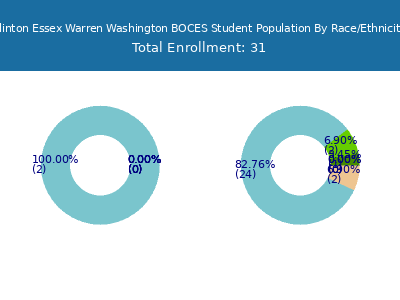 Clinton Essex Warren Washington BOCES 2025 Student Population by Gender and Race chart