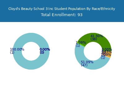 Cloyd's Beauty School 3 Inc 2025 Student Population by Gender and Race chart