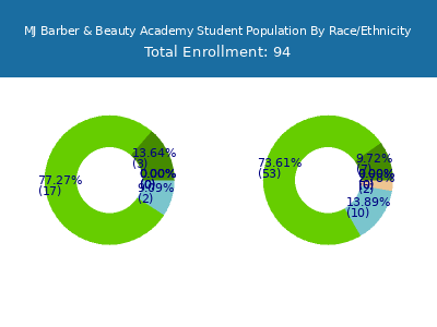 MJ Barber & Beauty Academy 2025 Student Population by Gender and Race chart