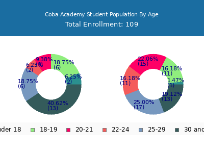 Coba Academy 2024 Student Population Age Diversity Pie chart