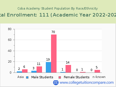 Coba Academy 2023 Student Population by Gender and Race chart
