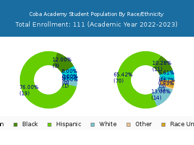 Coba Academy 2023 Student Population by Gender and Race chart