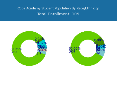 Coba Academy 2025 Student Population by Gender and Race chart