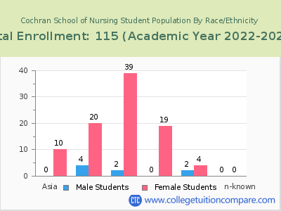 Cochran School of Nursing 2023 Student Population by Gender and Race chart