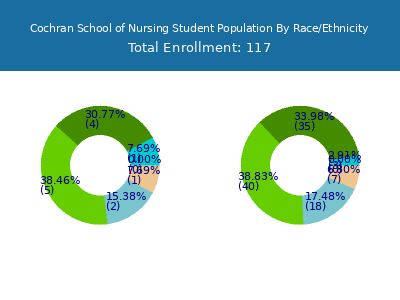 Cochran School of Nursing 2025 Student Population by Gender and Race chart