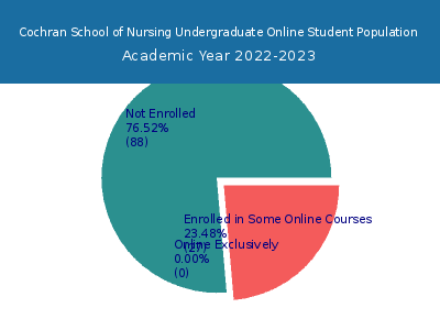 Cochran School of Nursing 2023 Online Student Population chart