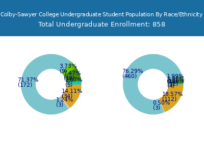 Colby-Sawyer College 2025 Undergraduate Enrollment by Gender and Race chart