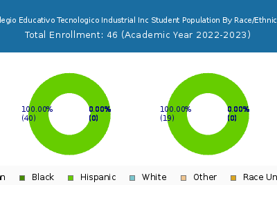 Colegio Educativo Tecnologico Industrial Inc 2023 Student Population by Gender and Race chart