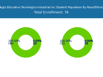Colegio Educativo Tecnologico Industrial Inc 2025 Student Population by Gender and Race chart