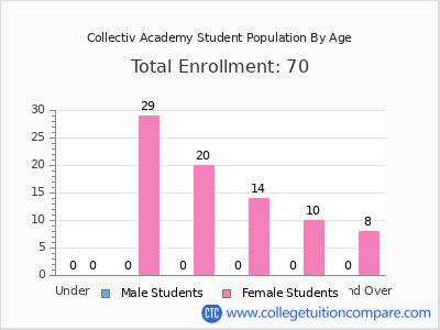 Collectiv Academy 2024 Student Population by Age chart