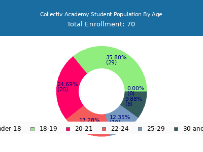 Collectiv Academy 2024 Student Population Age Diversity Pie chart
