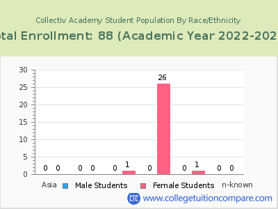 Collectiv Academy 2023 Student Population by Gender and Race chart