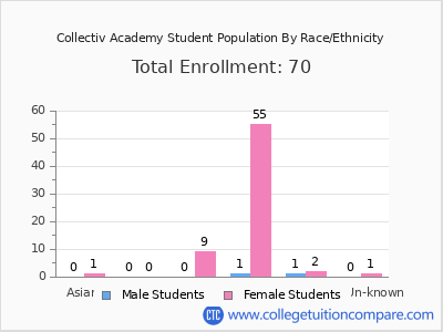 Collectiv Academy 2025 Student Population by Gender and Race chart