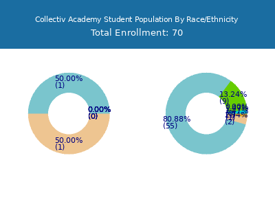 Collectiv Academy 2025 Student Population by Gender and Race chart